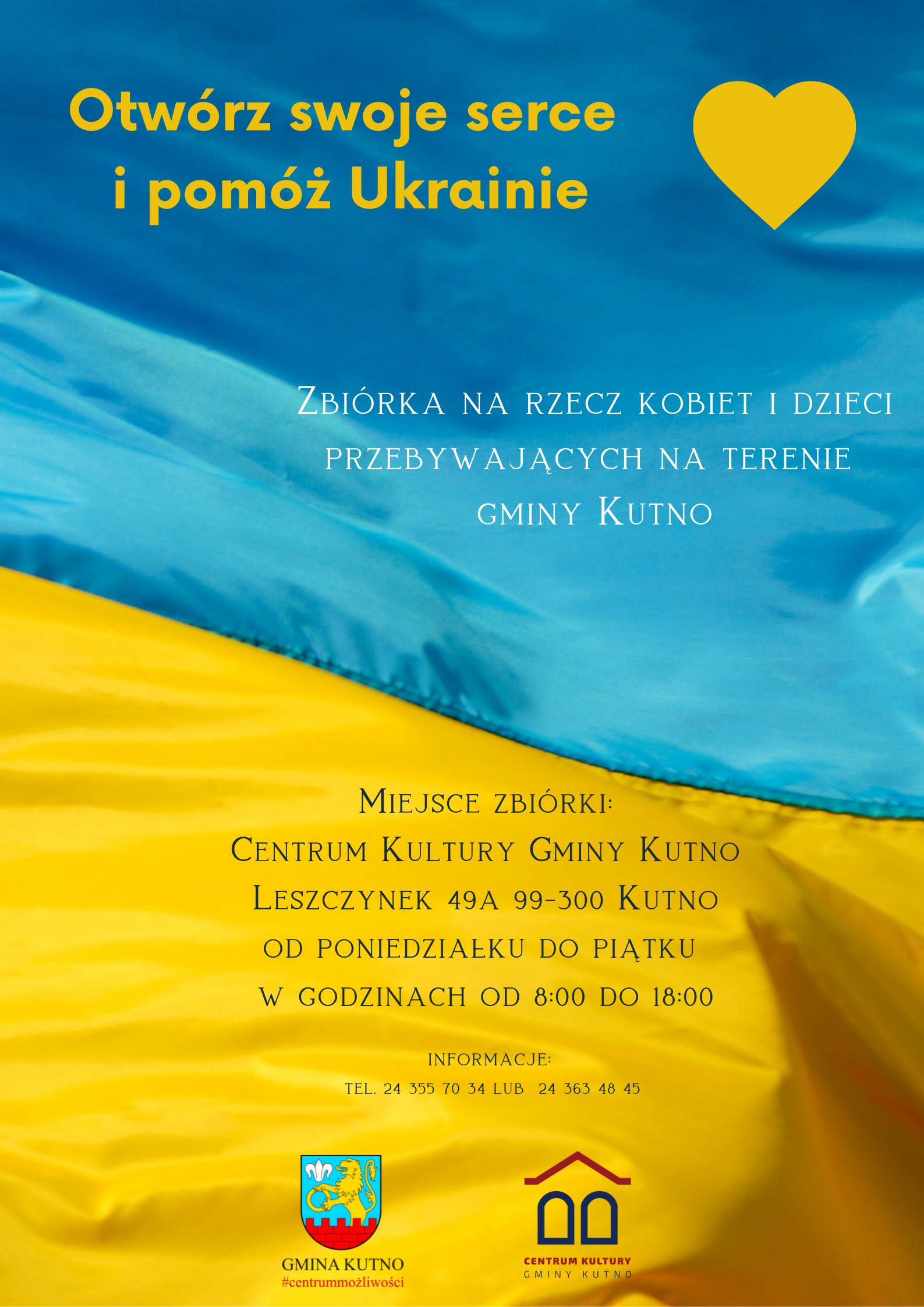 Ukrainian Independence Day Instagram Post Plakat