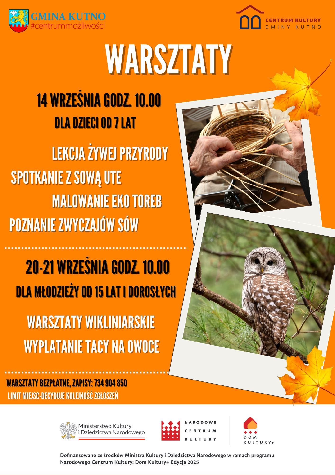 sowa plakat