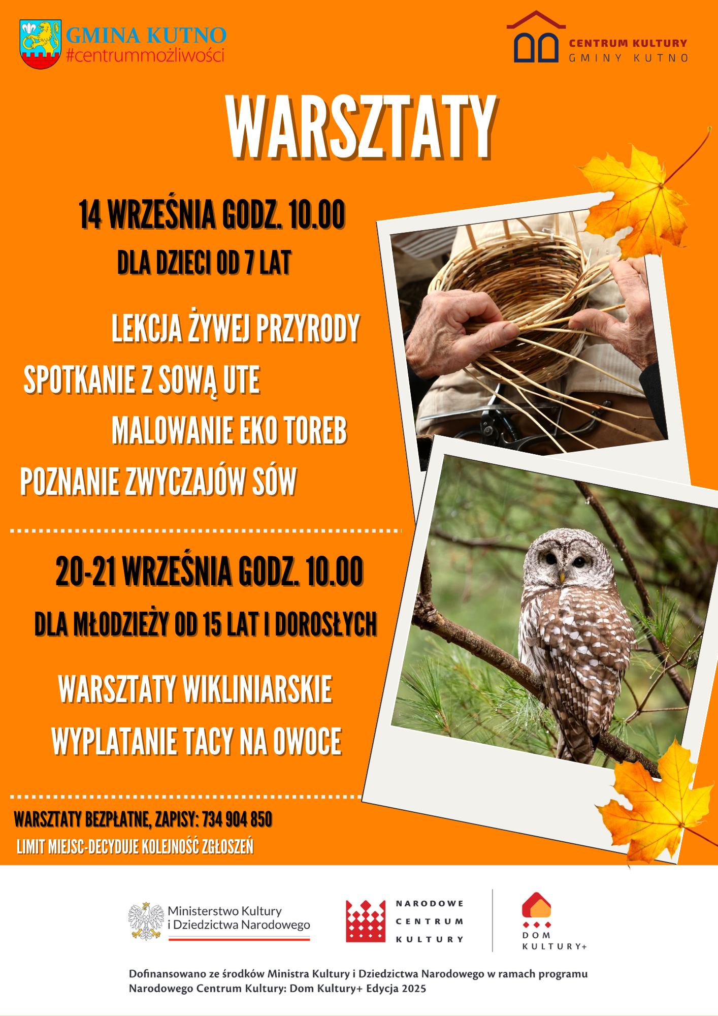 warsztaty wiklina i sowa 1