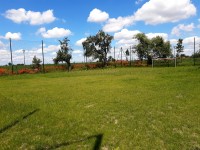 IMG_20200616_130659842